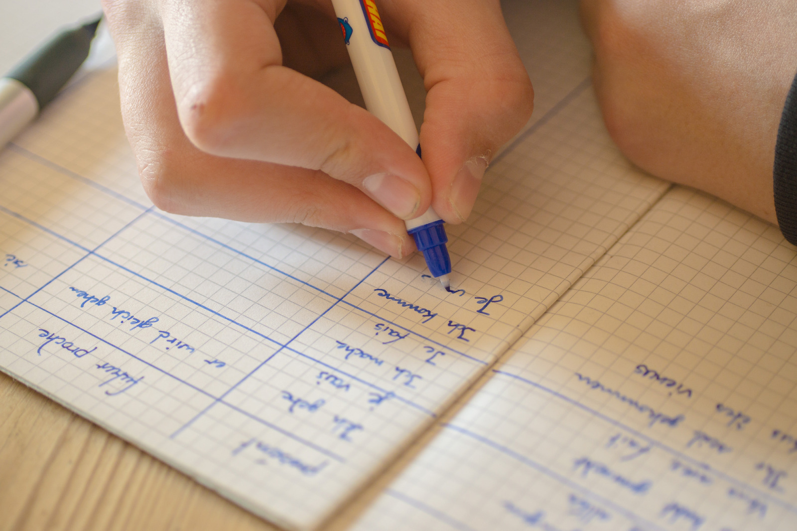Firmengründungskosten für Sprachschulen in der Türkei und notwendige Genehmigungen